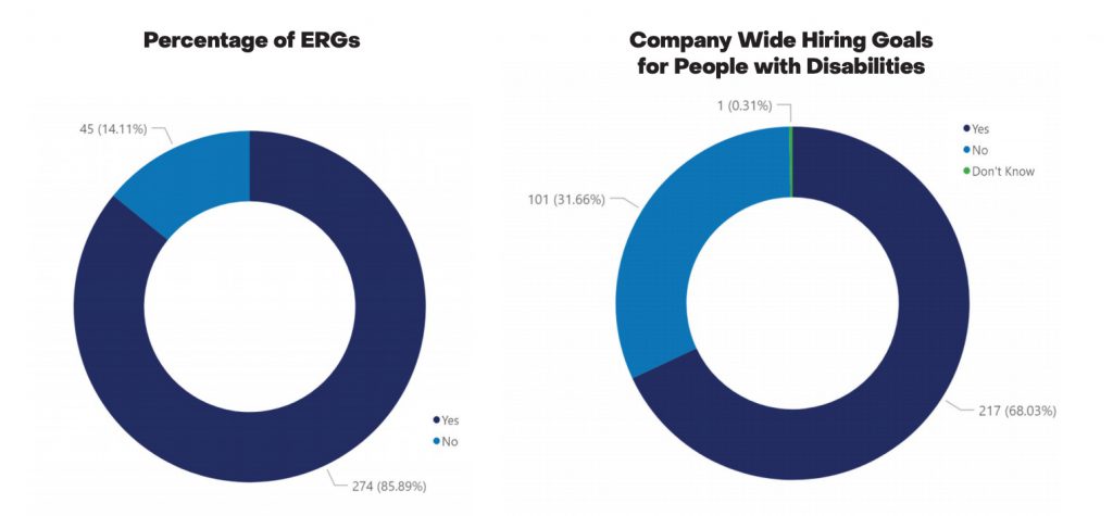 disability_inclusion_in_the_workplace_ergs