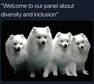 diversity meme white dog