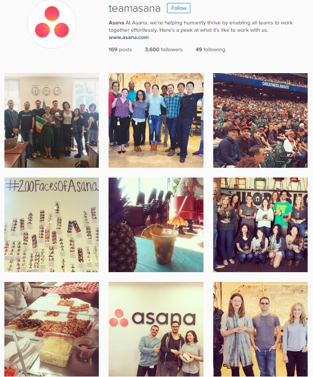 Team Asana Instagram