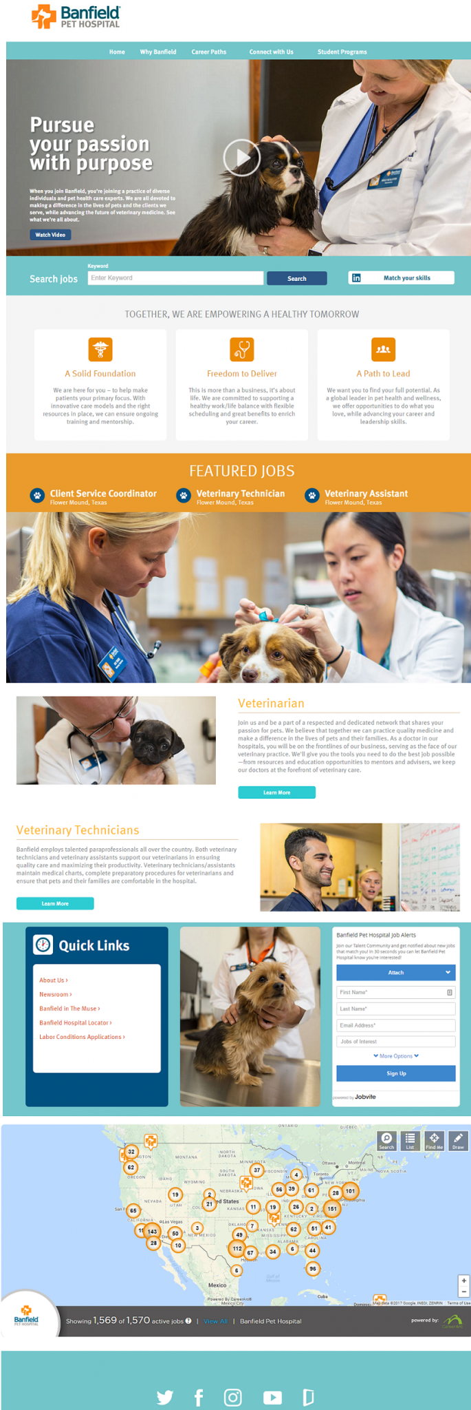 Best Company Career Sites Banfield Pet Hospital 2 - Ongig Blog