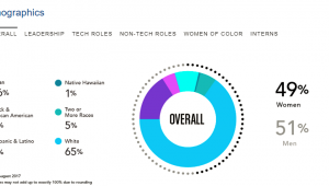 Diversity Pie Chart of ethnic make up of Pandora