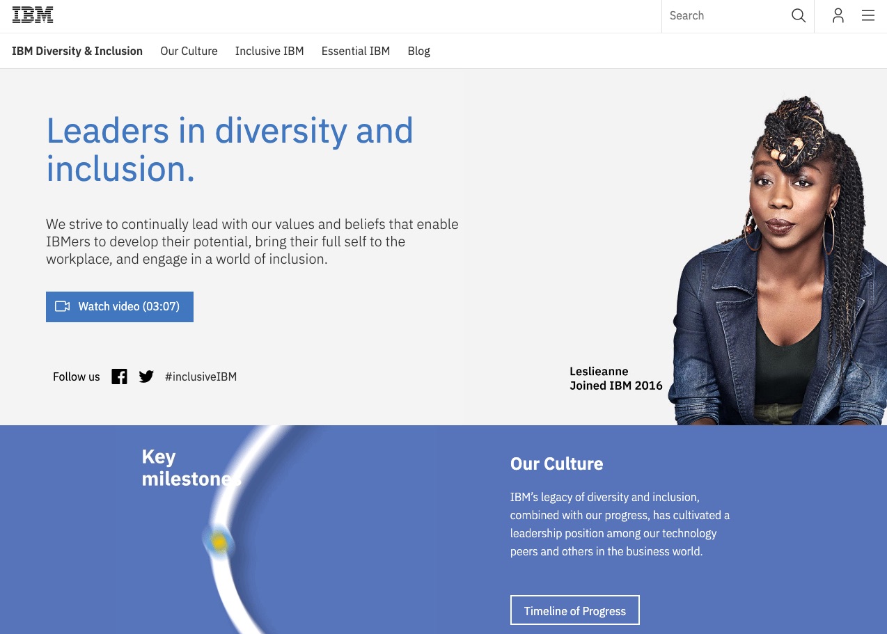 diversity statement examples business