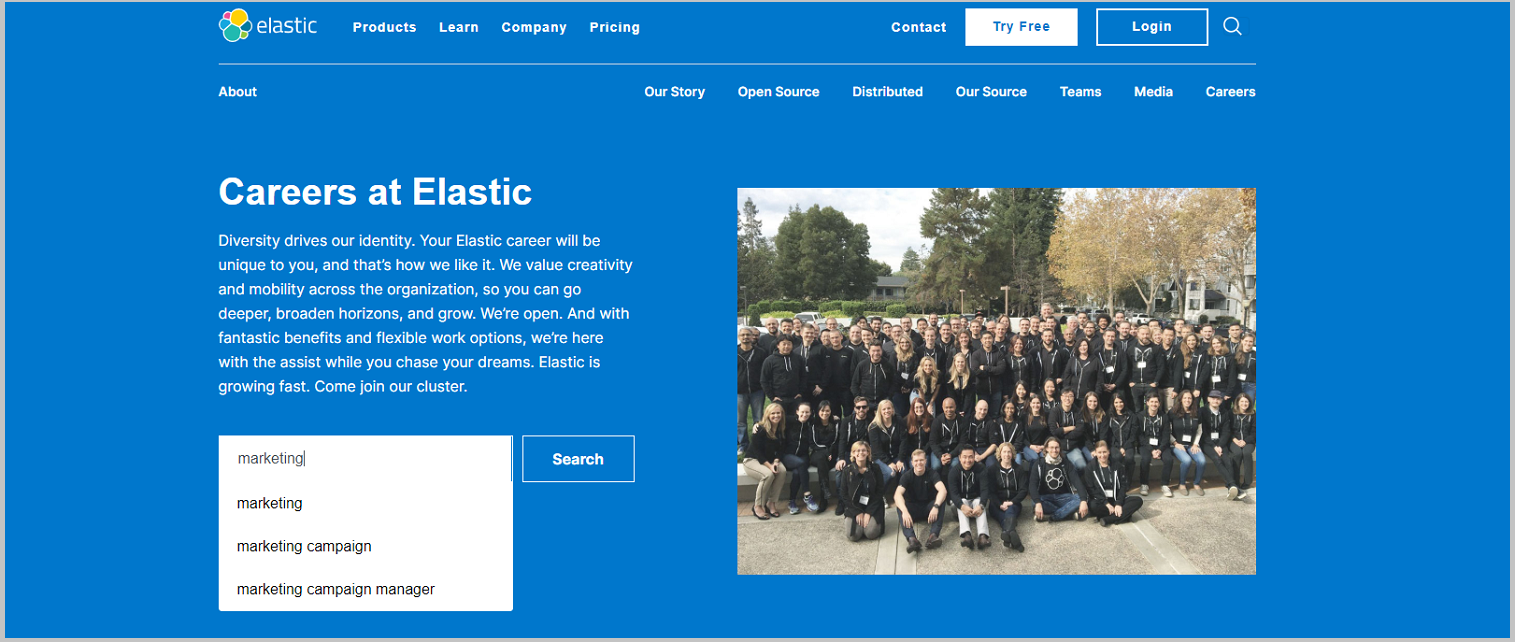 Job search on Elastic company career site
