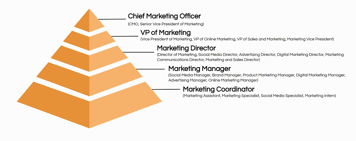 marketing job titles hierarchy