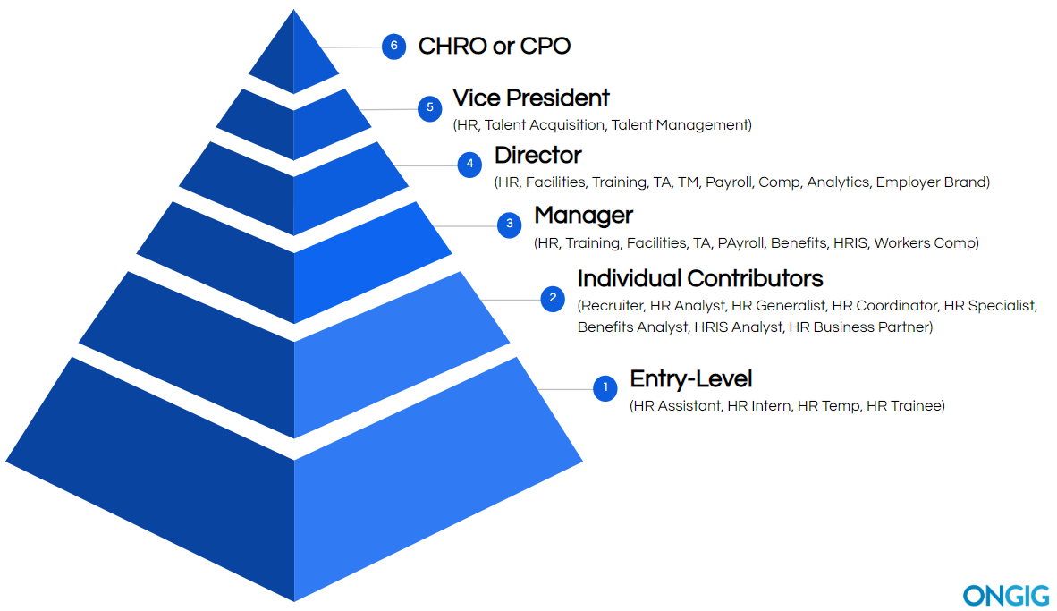 The Top 40 Job Titles In Human Resources 2023   Hr Job Titles Hierarchy 1 Ongig 