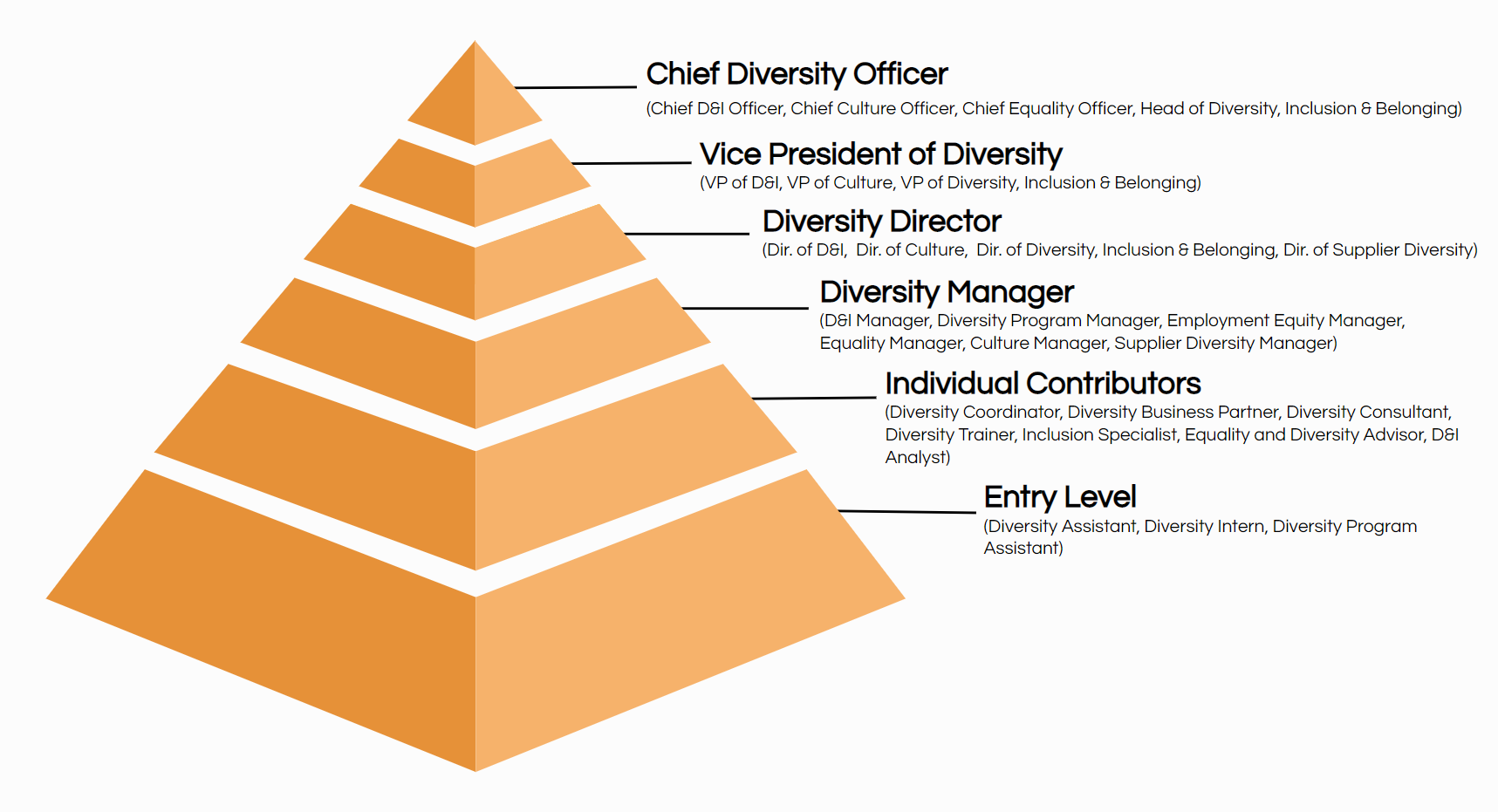 Top 20 Diversity Equity Inclusion Titles with Descriptions 2024 