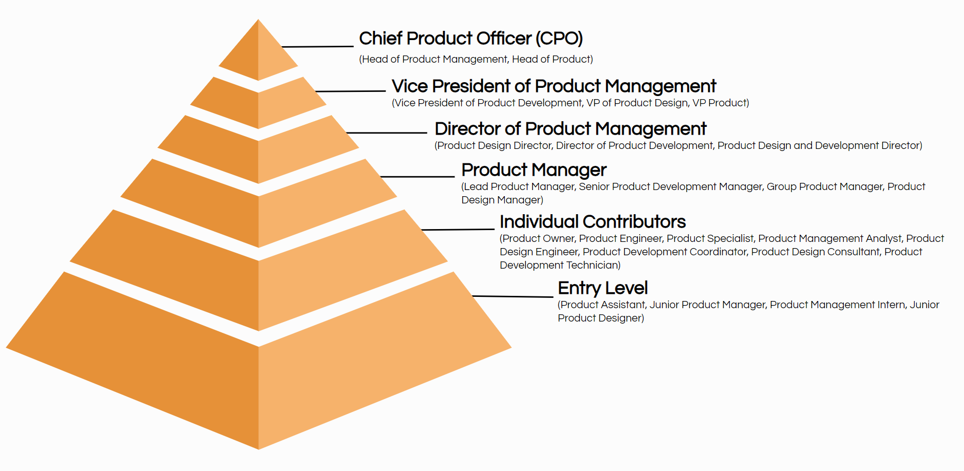 product management job title hierarchy