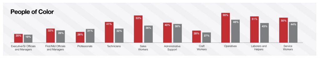 Target diversity report POC