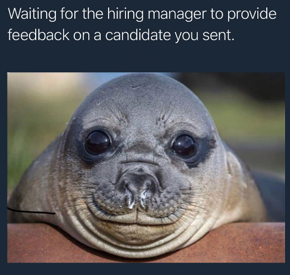funny recruiting memes seal