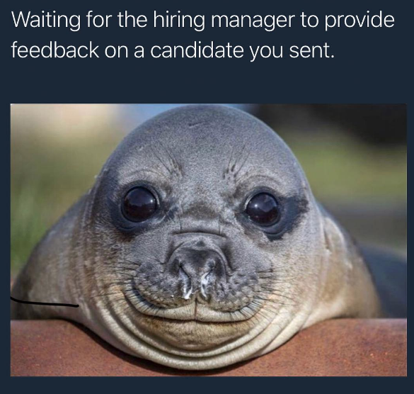 25+ Funny Recruiter Memes [2023 Update] Ongig Blog