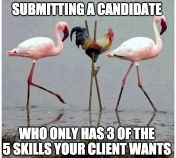 recruiting memes flamingo