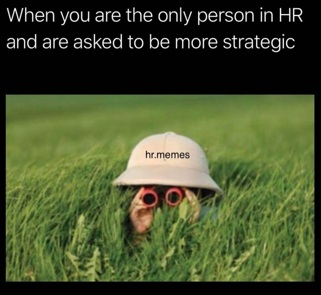 hr meme funny