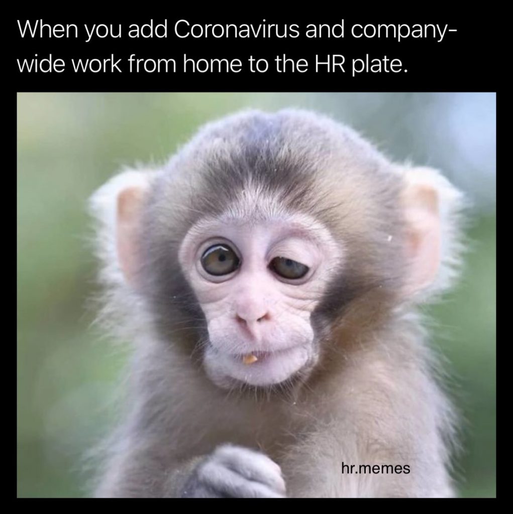 hr memes coronavirus | Ongig Blog best hr memes