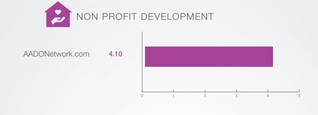 diversity recruitment advertising non -profit