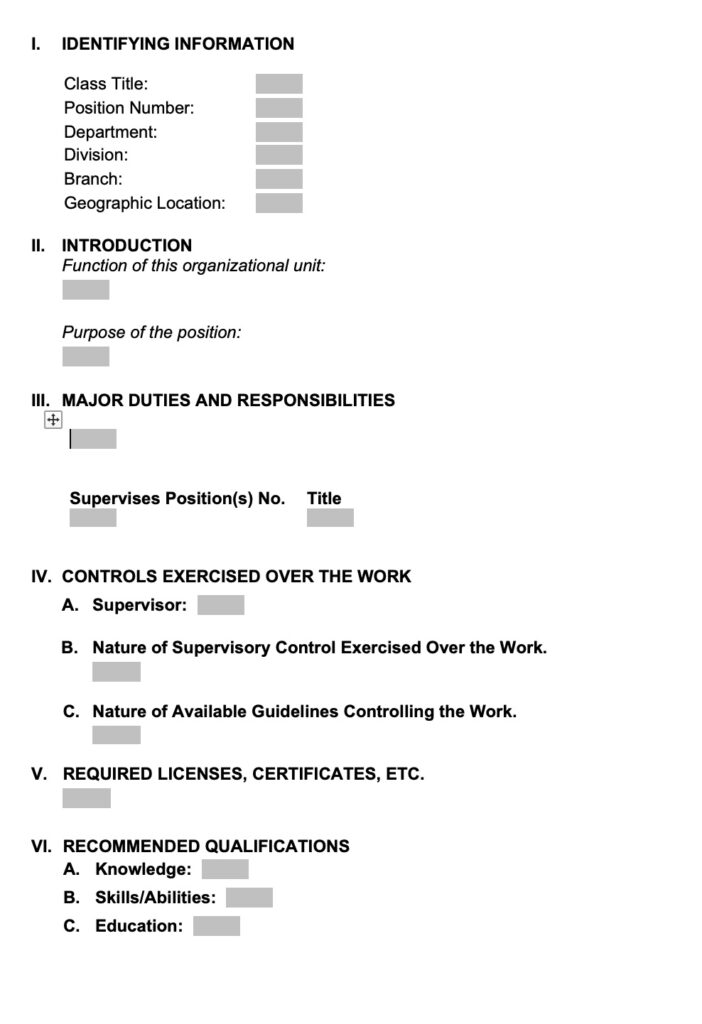 Position-Description-format