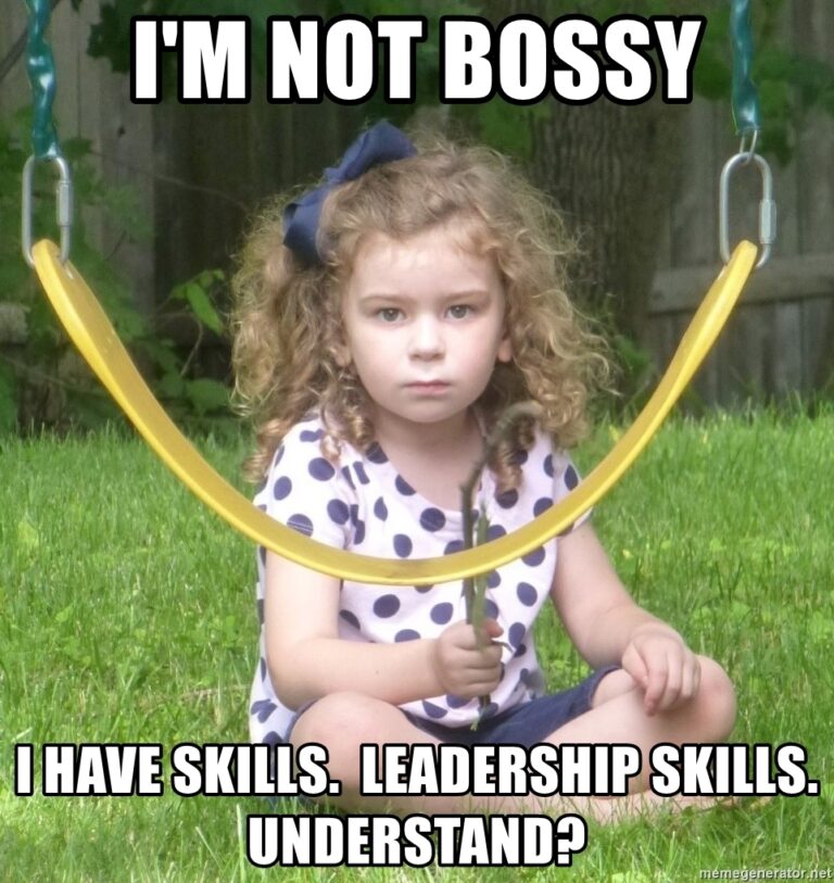 25 Leadership Memes [Some Might Make you Giggle] | Ongig Blog