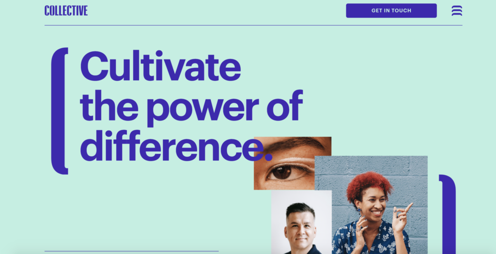 hello-collective-diversity-tool