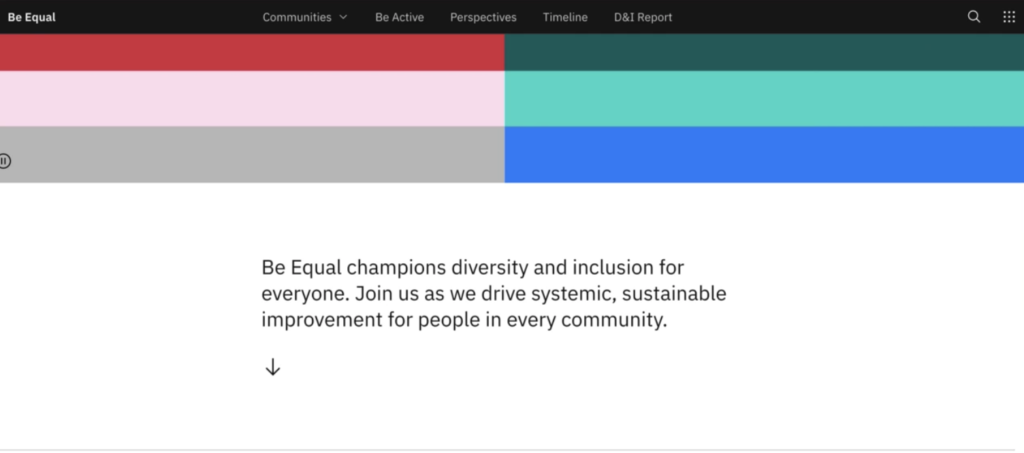 IBM equity and inclusion statement