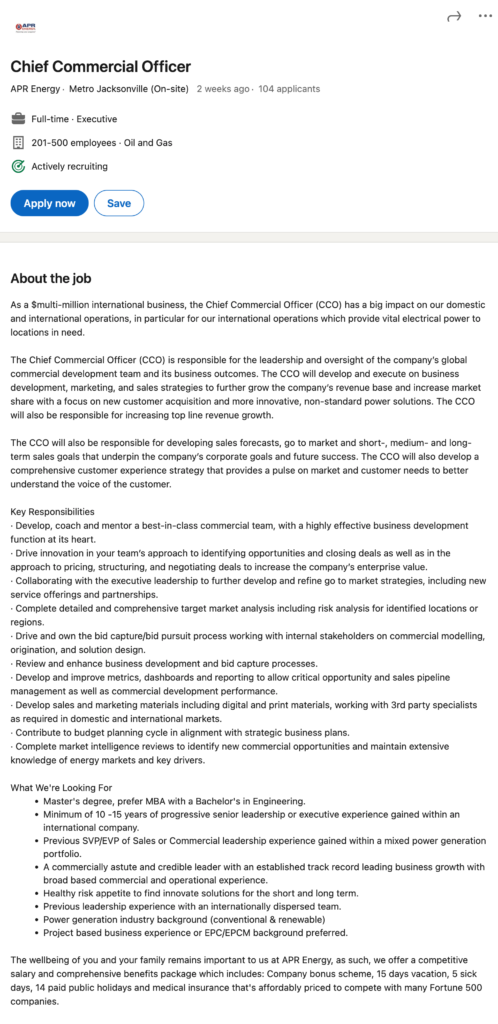 Chief Commercial Officer Job Description Template 