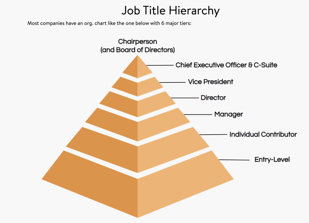 job titles hierarchy free guide | Ongig