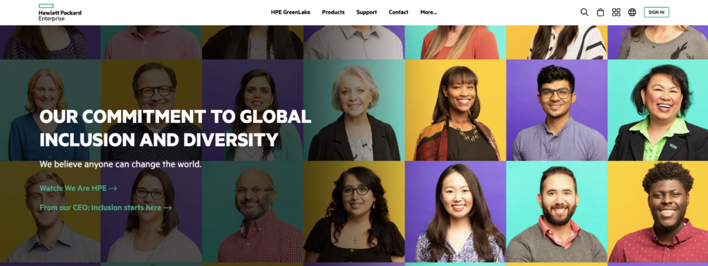 HPE diversity page