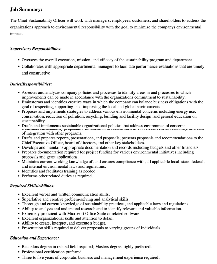 CSO Job Description Template SHRM