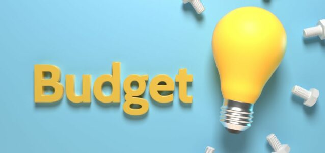 sample diversity and inclusion budget