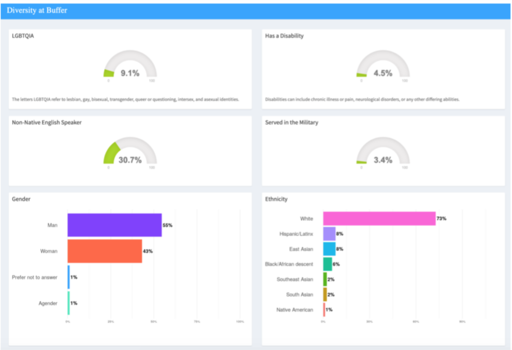 DEI Dashboard buffer