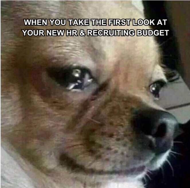 Close-up of a sad-looking dog's face with a meme caption about the new HR and recruiting budget.